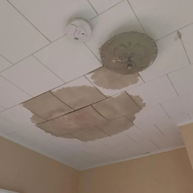 Ceiling Water Damage Repair in Susquehanna County, PA