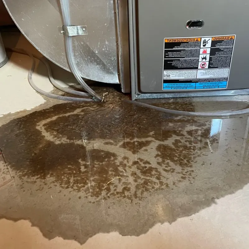 Pipe Burst and Leak Restoration in Susquehanna County, PA