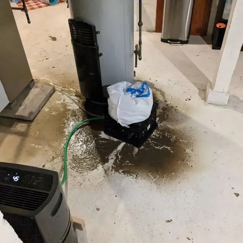 Sewage Backup Cleanup Service in Susquehanna County, PA